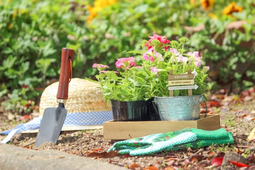 家庭菜園の虫除けスプレーの作り方 簡単 簡単 家庭菜園の始め方と初心者におすすめグッズ