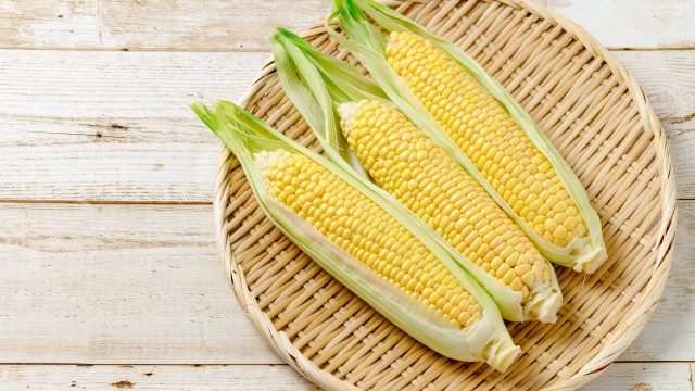 初心者 枝豆の栽培 育て方のコツ 支柱 摘心 水やり 失敗しない害虫対策 簡単 家庭菜園の始め方と初心者におすすめグッズ 初心者 枝豆の栽培 育て方のコツ 支柱 摘心 水やり 失敗しない害虫対策 簡単 家庭菜園の始め方と初心者におすすめグッズ