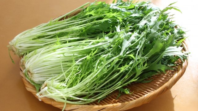 初心者 チンゲン菜の栽培 育て方のコツ トンネル とう立ちなど 簡単 家庭菜園の始め方と初心者におすすめグッズ