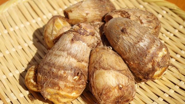 初心者 セロリの栽培 育て方のコツ 苗や管理マニュアル 簡単 家庭菜園の始め方と初心者におすすめグッズ 初心者 セロリの栽培 育て方のコツ 苗や管理マニュアル 簡単 家庭菜園の始め方と初心者におすすめグッズ