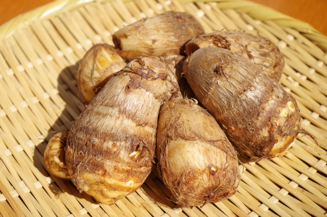 初心者 里芋の栽培 育て方のコツ 芽出し 失敗しないコツ 簡単 家庭菜園の始め方と初心者におすすめグッズ