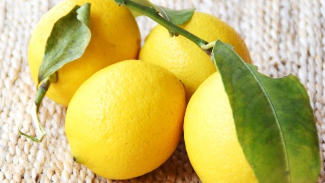 初心者 みかんの栽培 育て方のコツ 剪定 摘果 病害虫対策など 簡単 家庭菜園の始め方と初心者におすすめグッズ