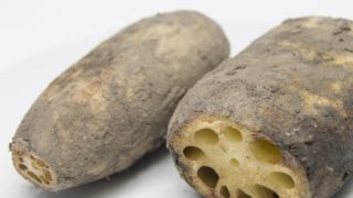 初心者 セロリの栽培 育て方のコツ 苗や管理マニュアル 簡単 家庭菜園の始め方と初心者におすすめグッズ 初心者 セロリの栽培 育て方のコツ 苗や管理マニュアル 簡単 家庭菜園の始め方と初心者におすすめグッズ