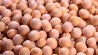 ナメクジの駆除方法 コーヒーやハーブ ビールなど手作り駆除剤で代用も 簡単 家庭菜園の始め方と初心者におすすめグッズ ナメクジの駆除方法 コーヒーやハーブ ビールなど手作り駆除剤で代用も 簡単 家庭菜園の始め方と初心者におすすめグッズ