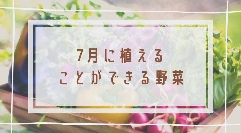 7月に植える野菜 月別リンク集 簡単 家庭菜園の始め方と初心者におすすめグッズ